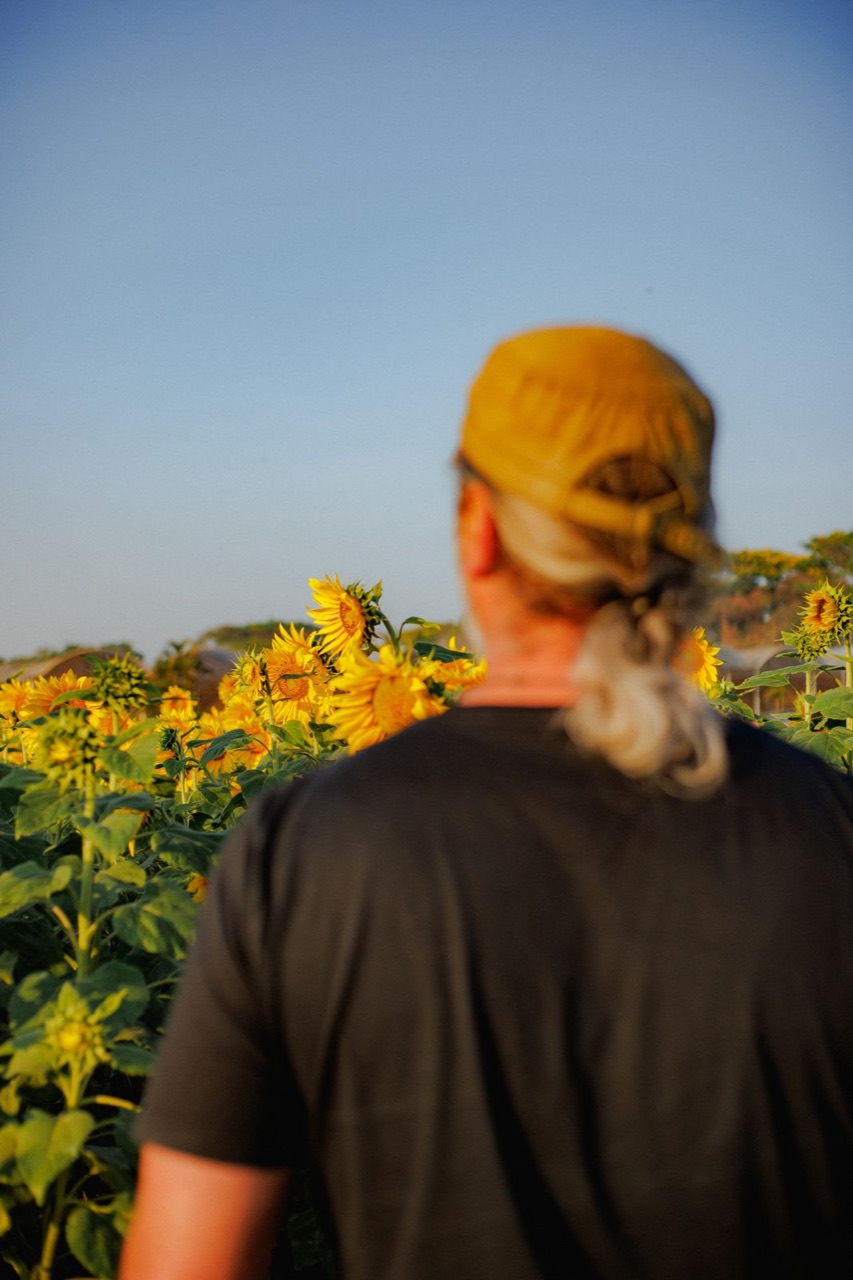 Vida à Flor da Pele — Veiling Holambra · Ovo Films (foto 7)