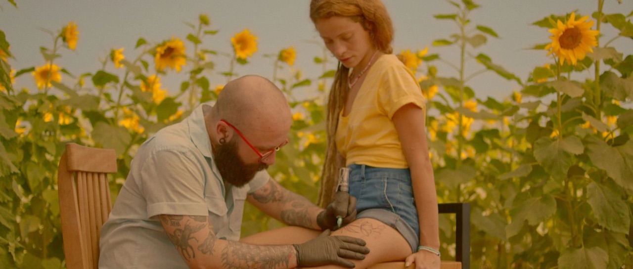 Vida à Flor da Pele — Veiling Holambra · Ovo Films (foto 9)
